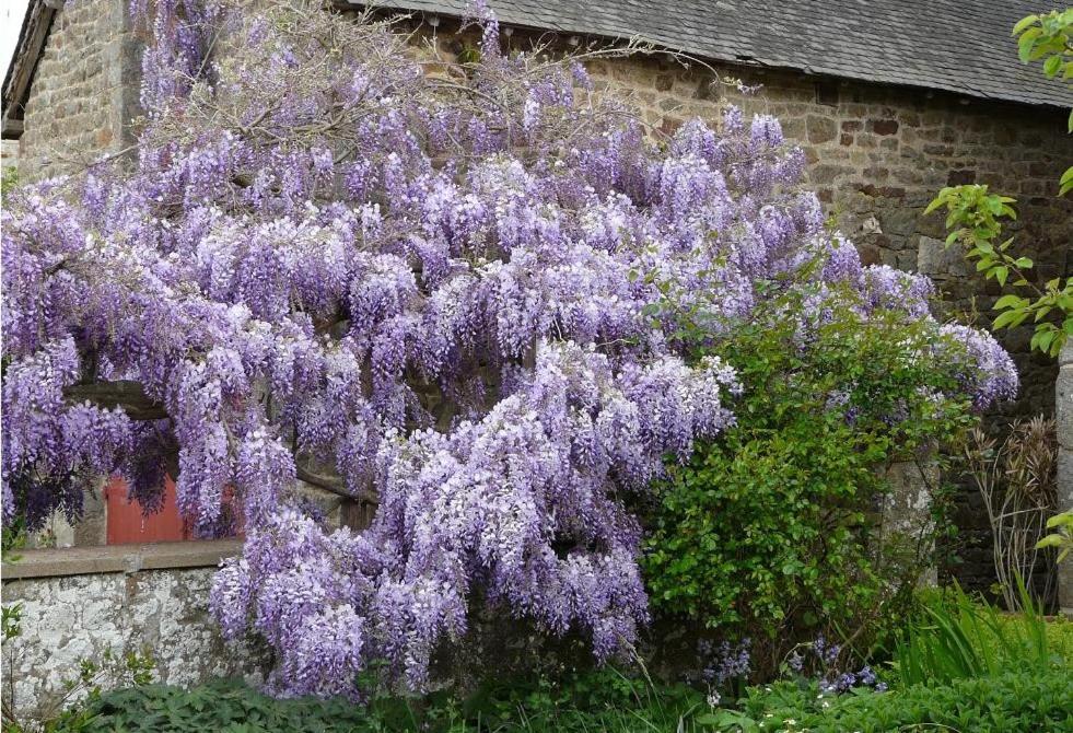 Le Clos Des Anges Dinge Экстерьер фото